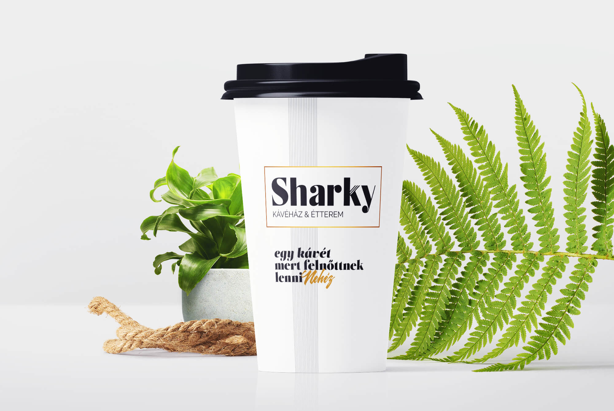 Sharky Kávézó