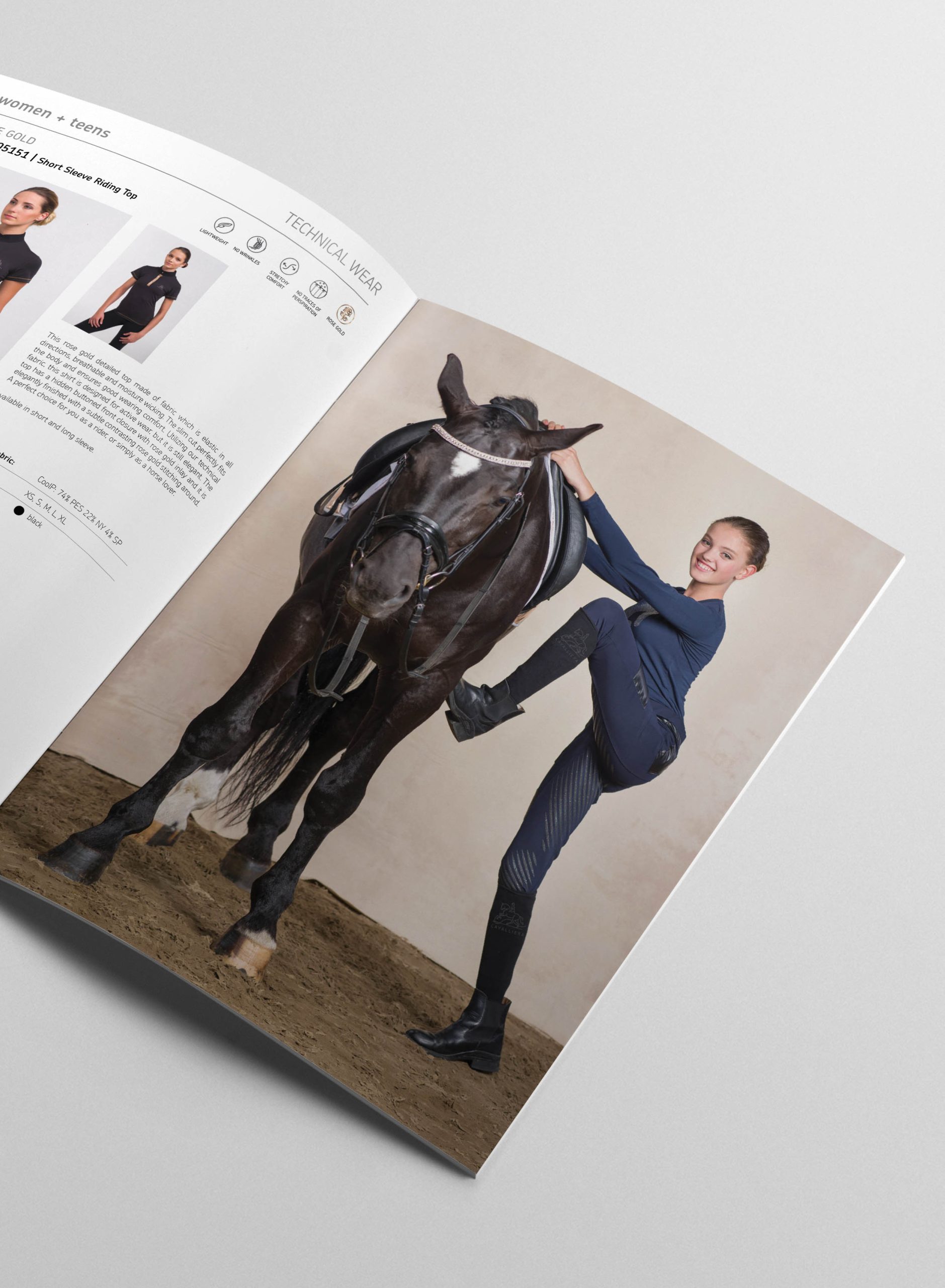 BMP-CA-Seasonal 2019-image-01 BMP-CA-Seasonal 2019-image-01